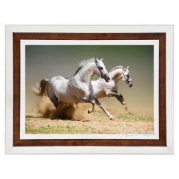 تابلو فرش طرح اسب های سفید دونده - ماشینی دستباف گونه کد 3174