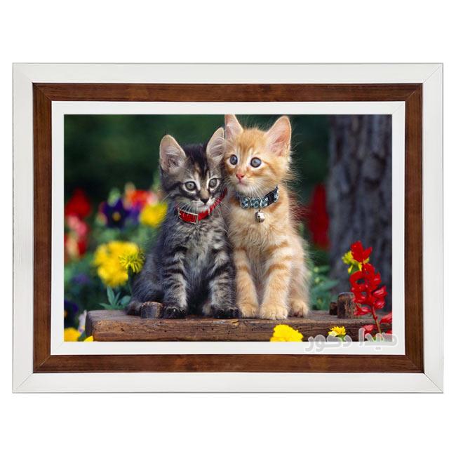 تابلو فرش ماشینی طرح بچه گربه های زیبا و بانمک کد 3201