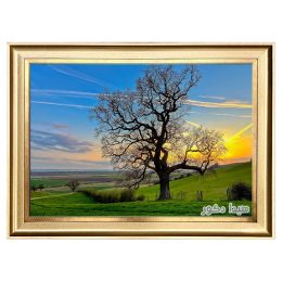تابلو فرش ماشینی منظره تک درخت و غروب کد 5402